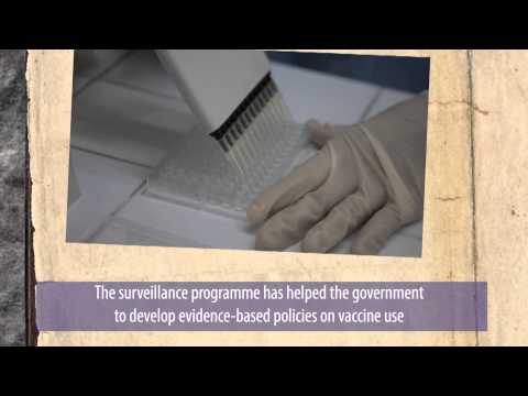 Eight year cooperation to fight against avian influenza H5N1 in Viet Nam