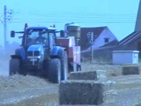 Persyn - Steelandt: Groopakpersen;