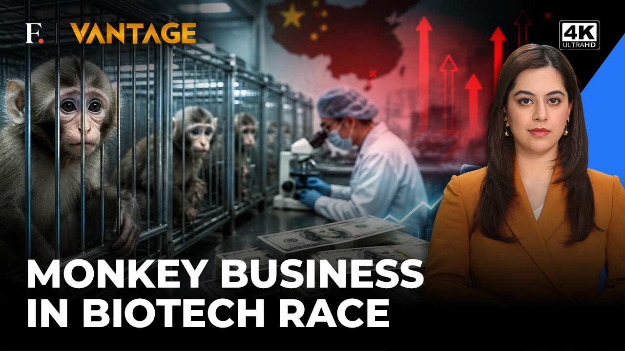 Lab Monkeys For Biotech Research In Short Supply As Cost Doubles To $26,000 In China | Vantage