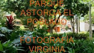 preview picture of video 'PARQUE ASTORGA EL POBLADO MEDELLIN.wmv'