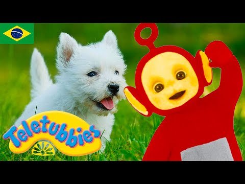 ☆ Teletubbies 325 ☆ Walking The Dog ☆ Episódios Completos em Português Brasil ☆