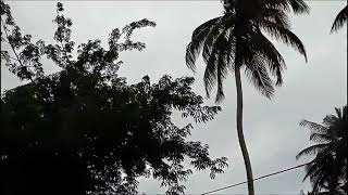 Download lagu Lagu BERGEK TERBARU 2018 - TULOE TOET - Album Jaman Now mp3 Download lagu Lagu BERGEK TERBARU 2018 - TULOE TOET - Album Jaman Now mp3