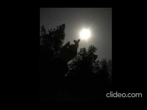 kerosene feat t1de, sadkawaii - regret