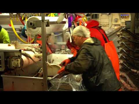 Ocean Peace Operation