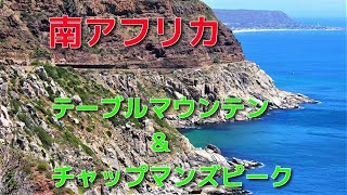 【南アフリカ】　再訪　テーブルマウンン＆チャップマンズピーク