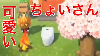 【あつもり】ちょいさんが可愛すぎて困る#5【あつまれどうぶつの森】