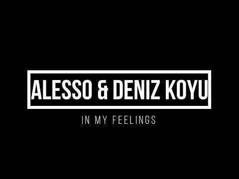 Alesso & Deniz Koyu   In My Feelings 1 hour mix