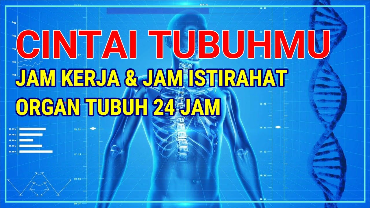JAM KERJA ORGAN TUBUH MANUSIA DALAM 24 JAM | TUBUH PERLU ISTIRAHAT | TIPS SEHAT DAN PANJANG UMUR