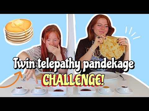 TWIN TELEPATHY PANDEKAGE CHALLENGE! - Emmes