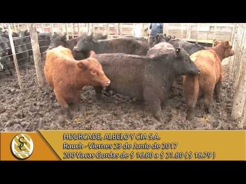 23-06-17 Venta de Gordo - Hourcade, Albelo y Cia S.A. - Rauch.