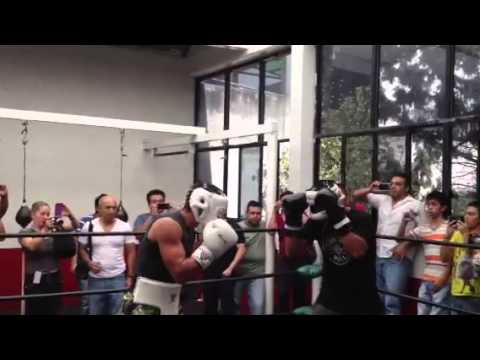 Juan Manuel Márquez vs rocky Santillo Sparring sesión