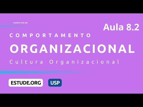 Comportamento Organizacional Aula 1 O que é comportamento organizacional
