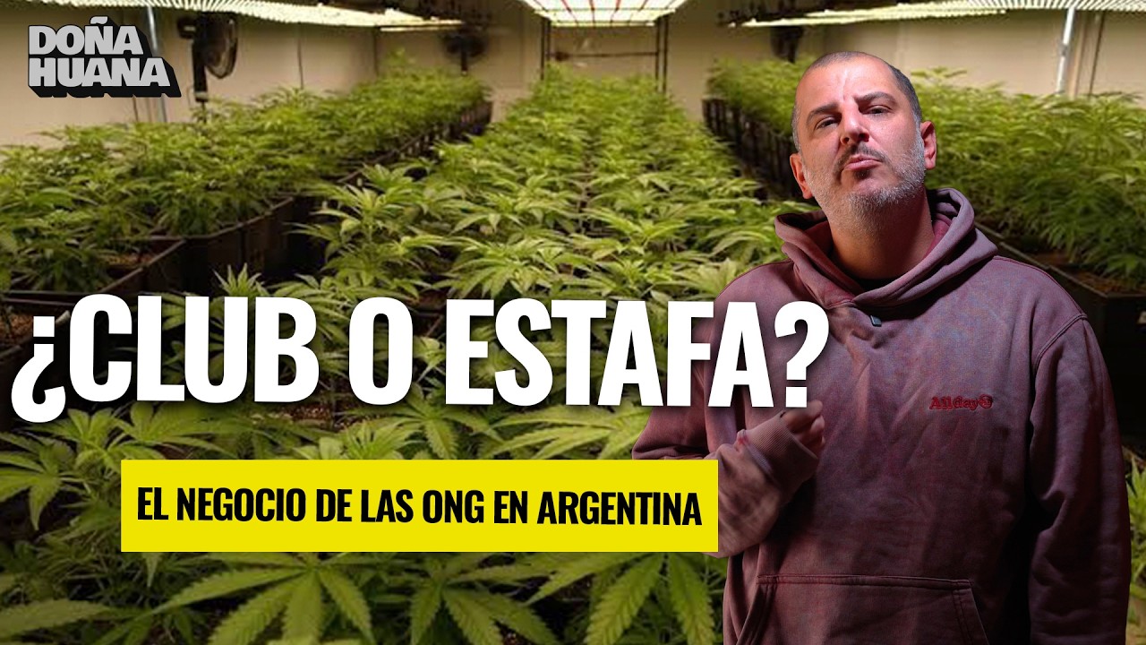 DESCUBRÍ COMO ES EL NEGOCIO DE LAS ONG EN ARGENTINA