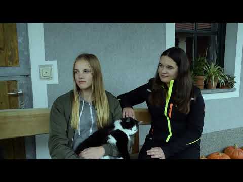 Damma wos Gscheid's - NMS Steinerkirchen/Traun