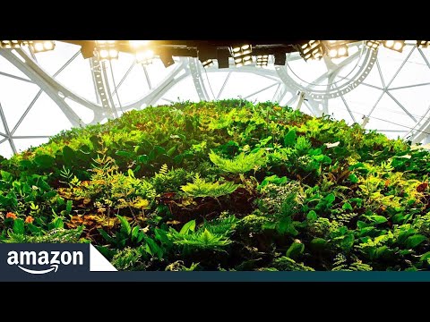 Amazon Spheres: groen kantoor in overtreffende trap