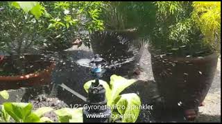 8027 Micro Sprinkler