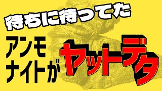 待ちに待ってた！アンモナイトがヤットデタ!!
