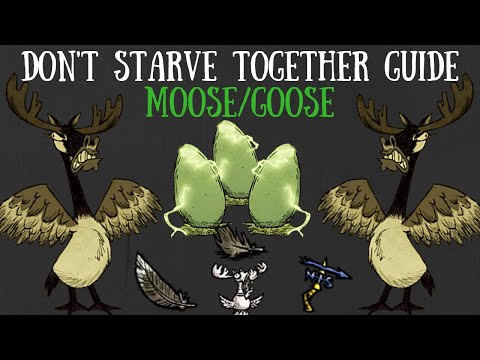 download lagu mp3 mp4 Moose Goose, download lagu Moose Goose gratis, unduh video klip Moose Goose