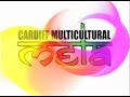 TV Advert For Cardiff Multicultural Mela 2012