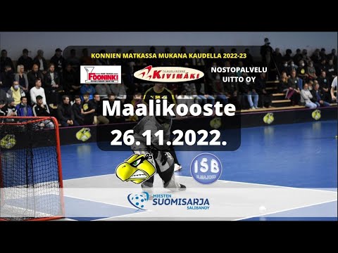 Maalikooste Konnat - ISB 26.11.2022.