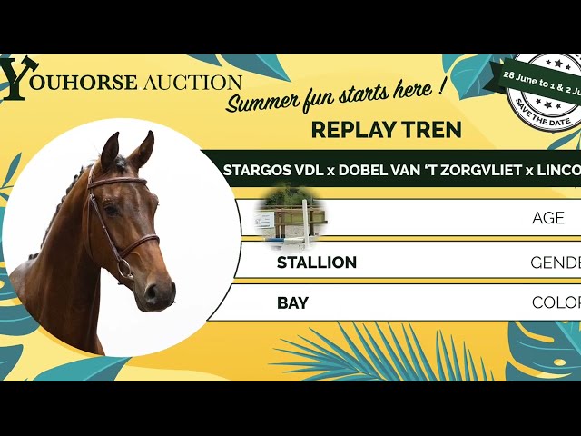 Replay Tren homevideo