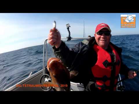 Saltstraumen festival 2019