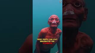 Download lagu This Tribe Can Stay Underwater for 13 Minutes! 🌊😱 #shorts #bajau mp3