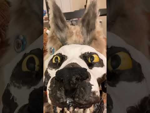 Skull dog removable face mask tutorial