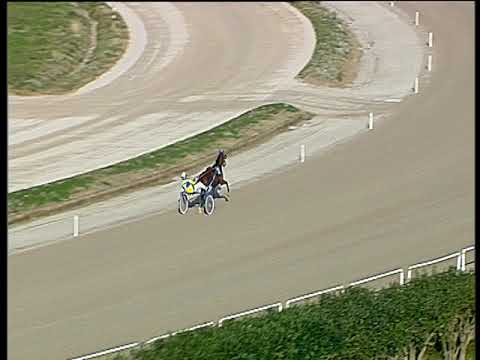 Trotto 27/12/2019 - prova di qualifica