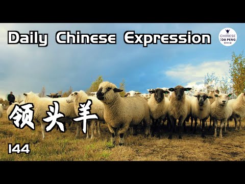 各行各業都有第一人，你想成為“領頭羊”嗎？