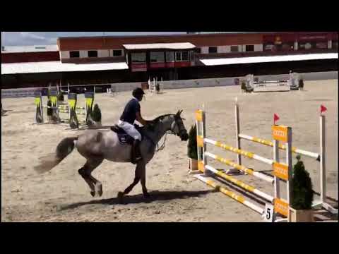 Lauda (Emir R x Lasino) 2022/06/11 ZR Olsza- 110 cm