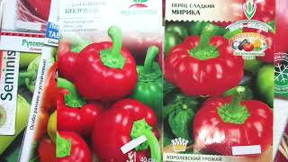 Перец Санькина любовь: отзывы, описание сорта, фото, видео, отзывы ...