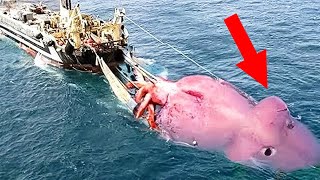 What A Poor Fisherman Filmed In The Ocean, Terrified The Whole World