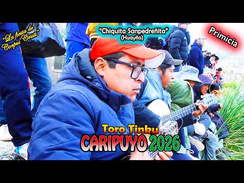 Toro Tinku de CARIPUYO 2026, "Chiquita Sanpedreñita"-Huayño. (Video Oficial de ALPRO) BO.