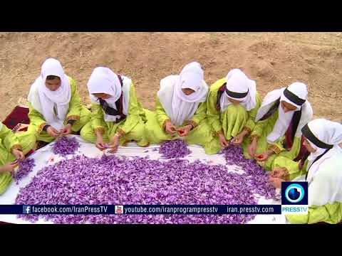 Tiêu chuẩn chất lượng Saffron Zafranar