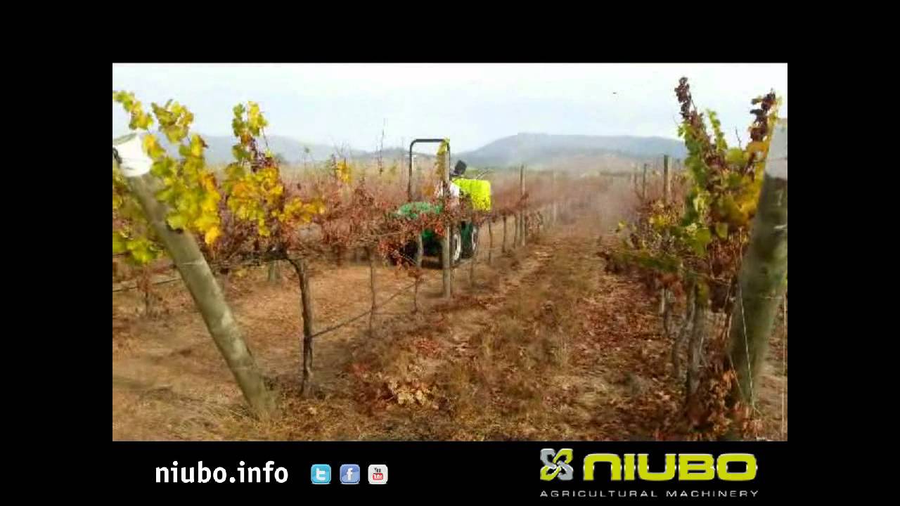 NIUBO Permetező DEMON/STAR/STAR TOWER/ECO TURBULENCE/TORNADO/HELIX BSV-BSA-BSK 200-3000 L