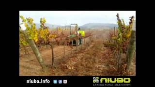 NIUBO Permetező DEMON/STAR/STAR TOWER/ECO TURBULENCE/TORNADO/HELIX BSV-BSA-BSK 200-3000 L