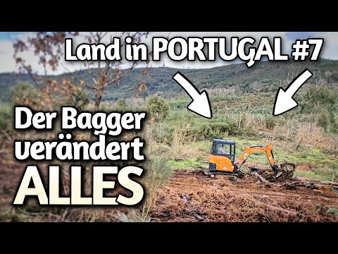 Scheune FERTIG 👍 Bagger legt mein Grundstück FREI 🌈 Wetter Ultra KRASS ❄️ Land in Portugal Vlog #7