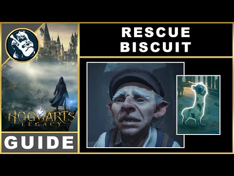 Hogwarts Legacy Rescue Biscuit | Quest Guide