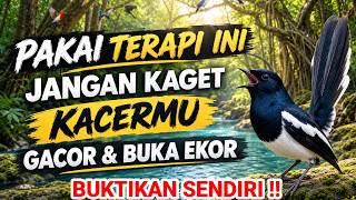 Download lagu TERAPI KACER MACET BUNYI KURANG FIGHTER LANGSUNG GACOR KONSLET NGEPLONG EMOSI DAN BONGKAR ISIAN mp3