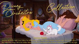 Lost in a Bedtime Story | Enchanting Disney Orchestral Playlist for Sweet Dream 💤