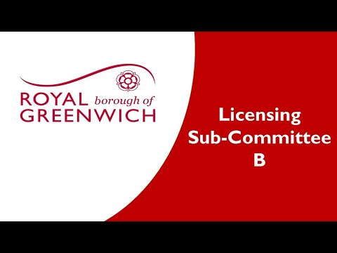 Licensing Sub-Committee B: 29 June 2020