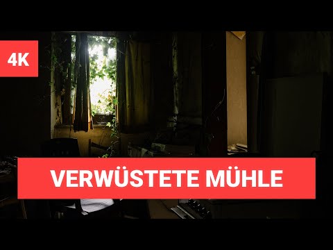 Die verwüstete Mühle | Lost Places NRW | Urbex - Lost Place | #LOSTPLACE