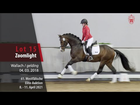 61. Elite-Auktion Trainingsvideo Lot 15 Zoomlight Wallach v. Zoom - Lissabon