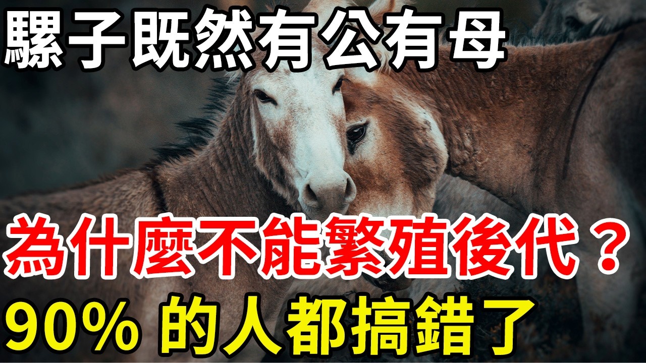 騾子既然有公有母，為啥不能繁殖後代？ 90%的人都搞錯了