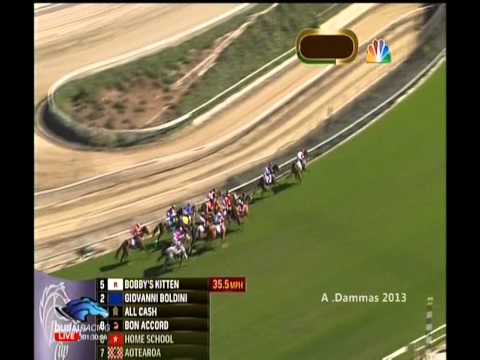 Breeders' Cup Juvenile Turf 2013 G1   Outstrip