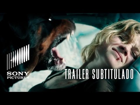 Trailer Subtitulado