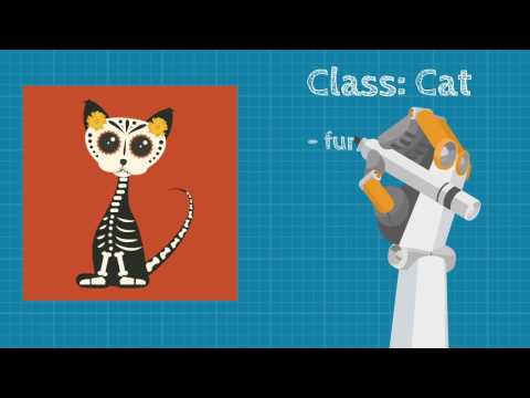 Object Oriented Programming Illustrated