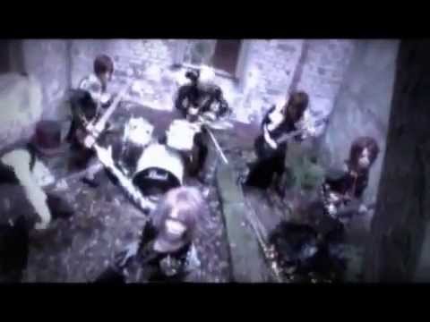 VII-Sense - Black Bird