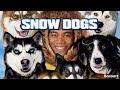 Disney S Snow Dogs 2002 DVD Trailer